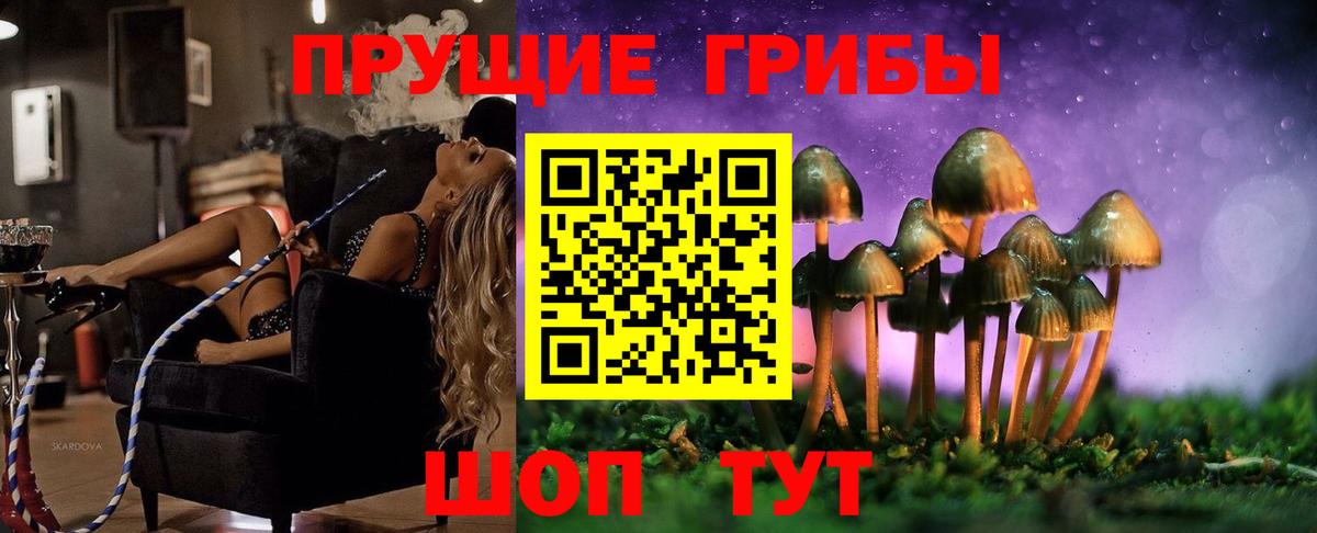 Черняховск  Галлюциногенные грибы Psilocybine cubensis  Вход с VPN 